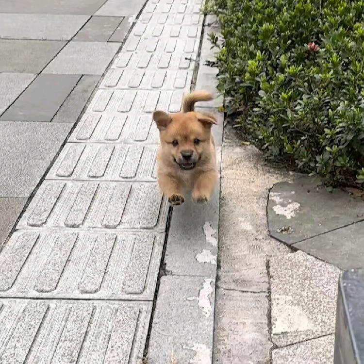 晨阳酱世界@抖音