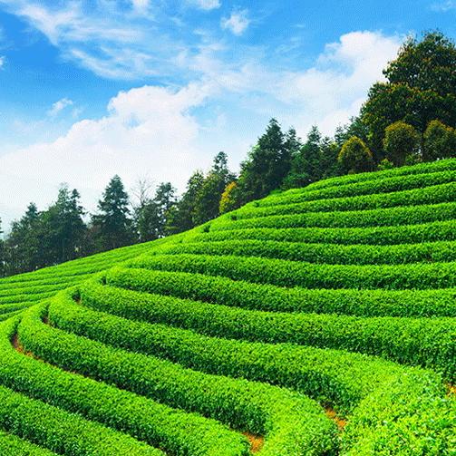 ☀蓝天。☀白云☁