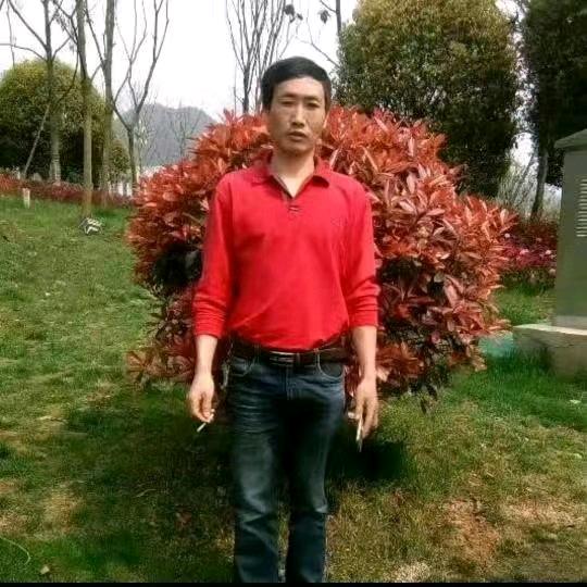 \罖氼乚/
