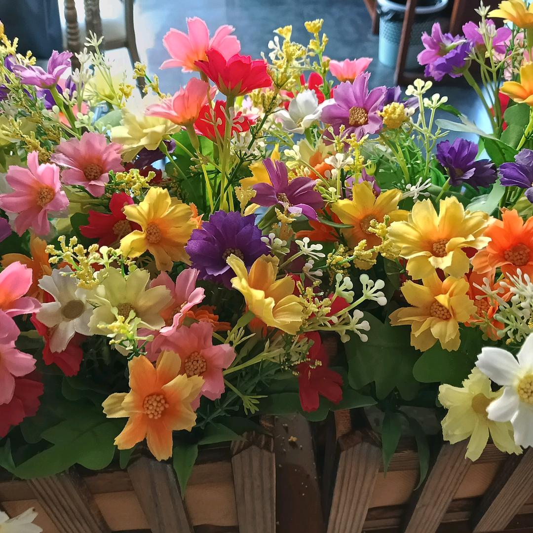 ಇ᭄薄荷ཽ初夏໊࿆ྃ࿐