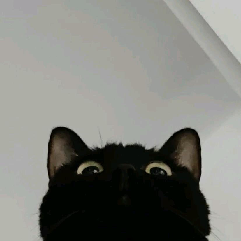 BBA