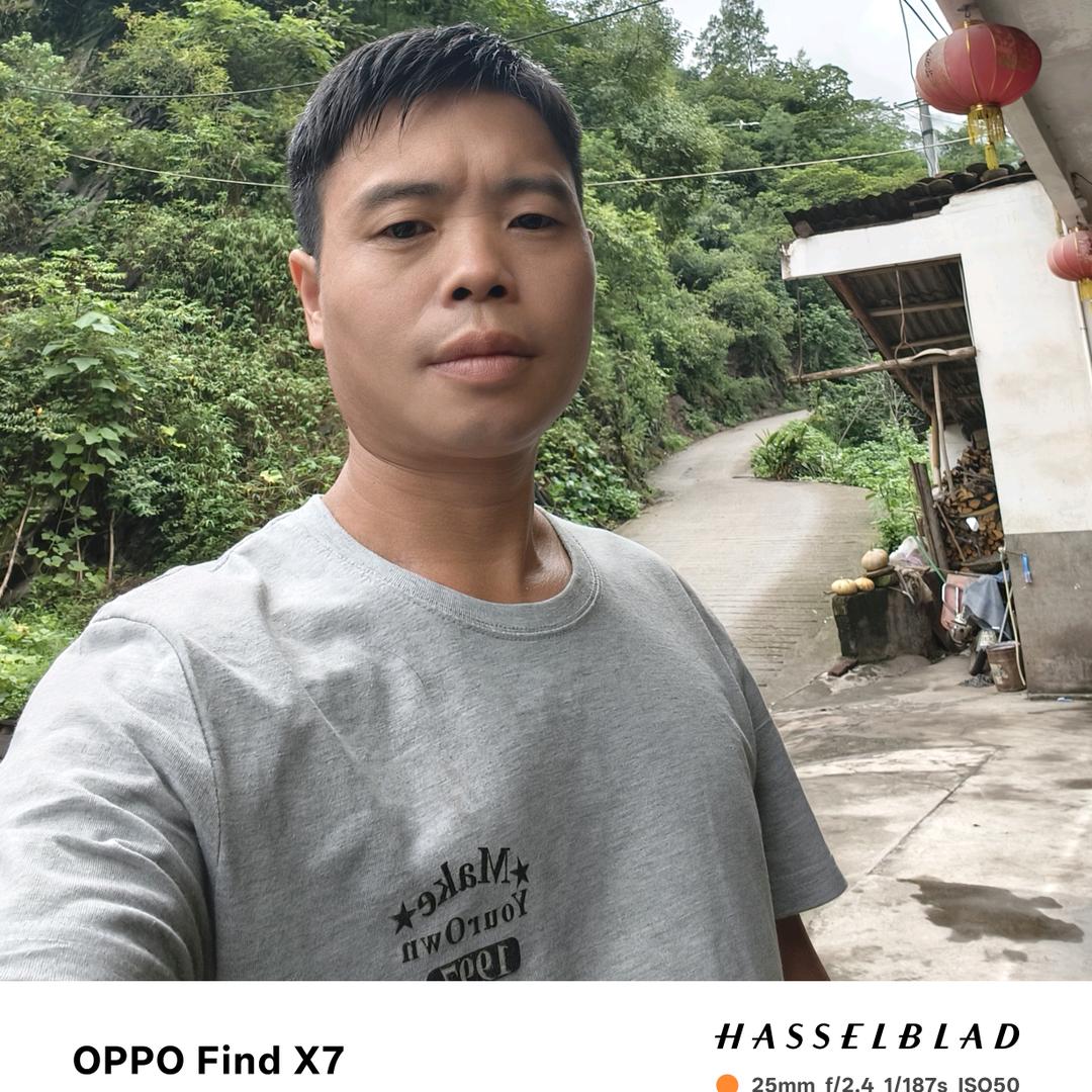 随风飘散化为零