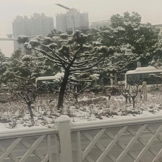若雪