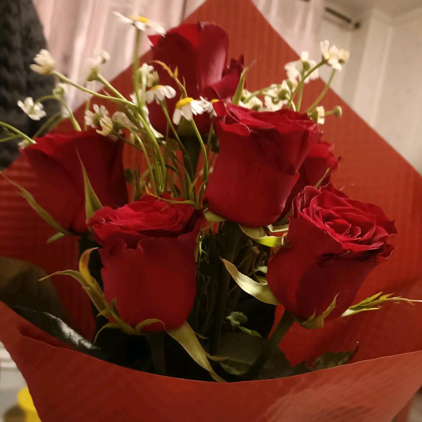 你诺盛开清风自来