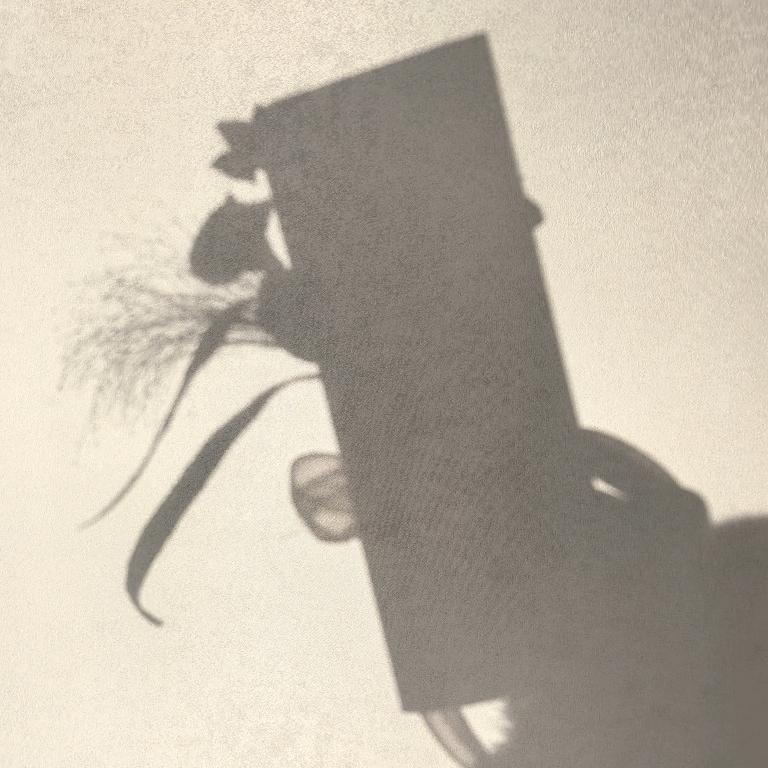 博城和阿彤🇨🇳