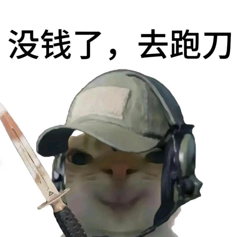 小猫刀