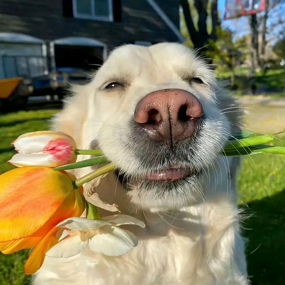 大姨的搞笑视频