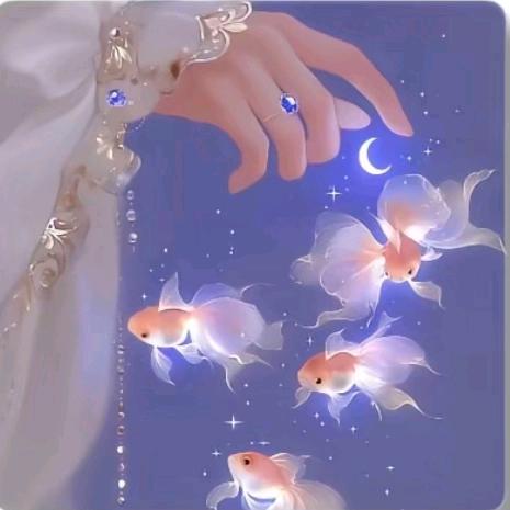 小糊涂🐬