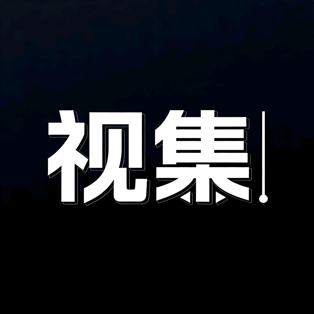 视集