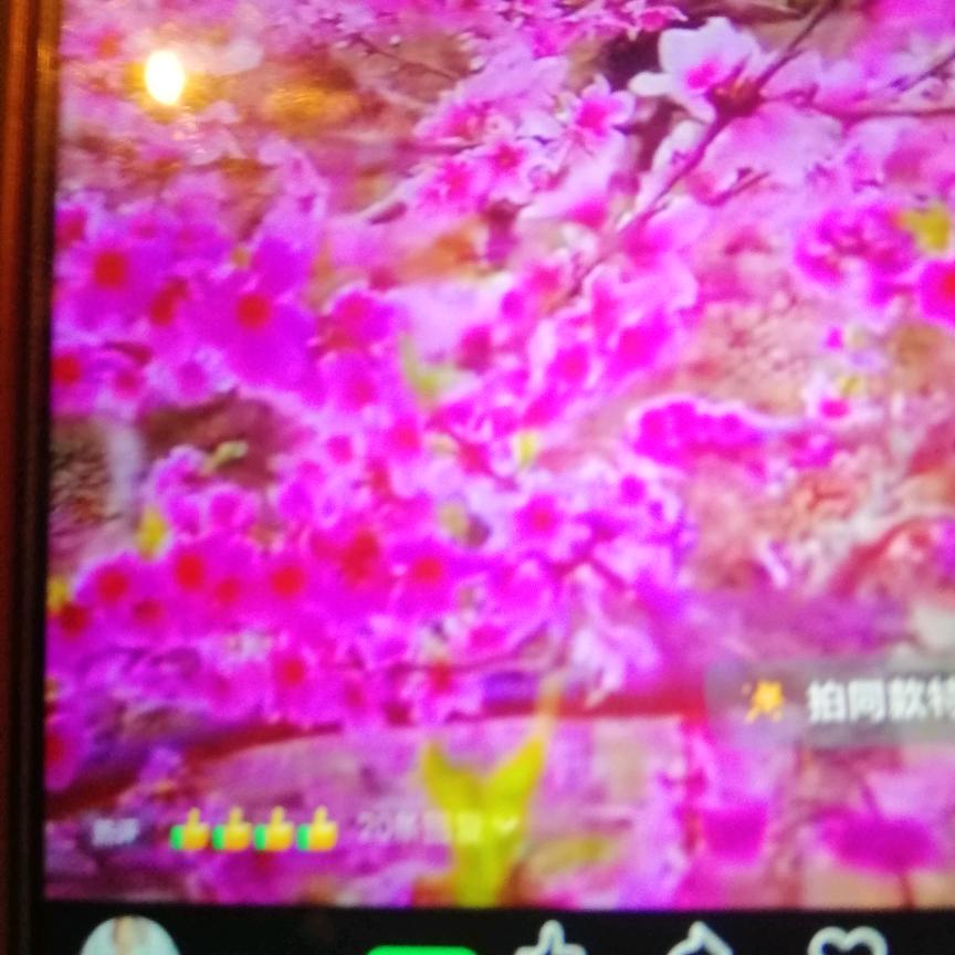 好运连连