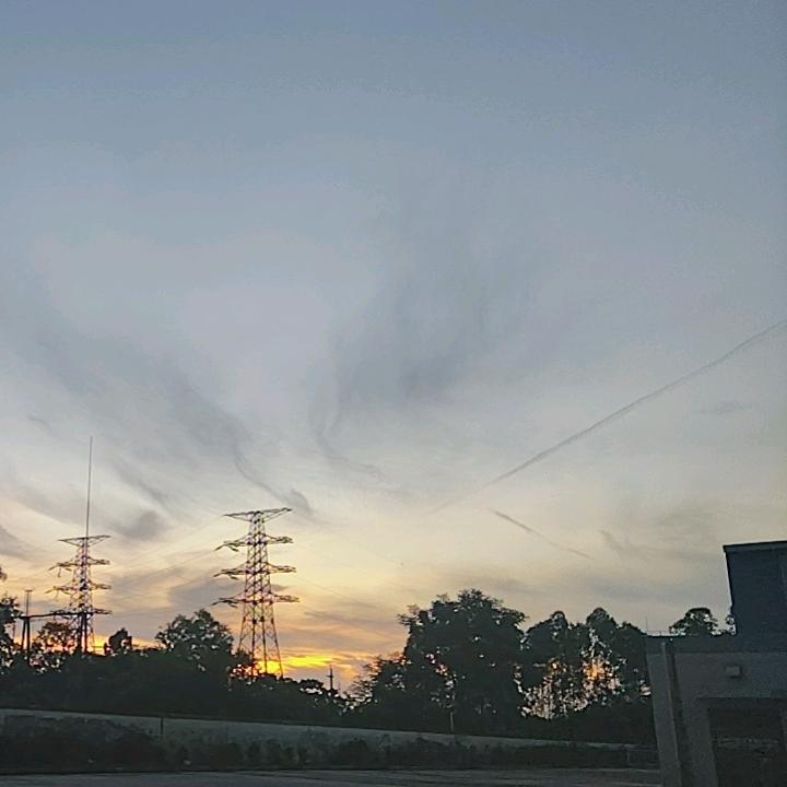 Oi  表是我吖 🌳