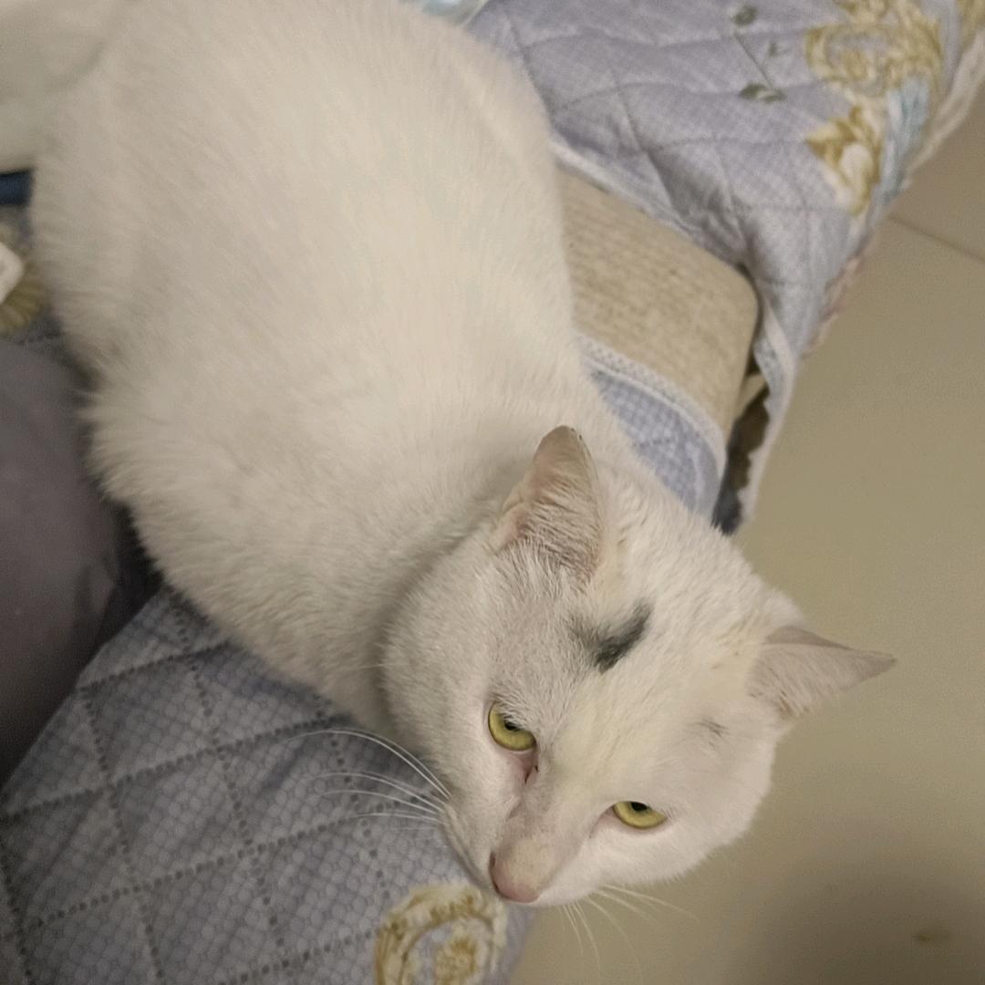 晚安💤