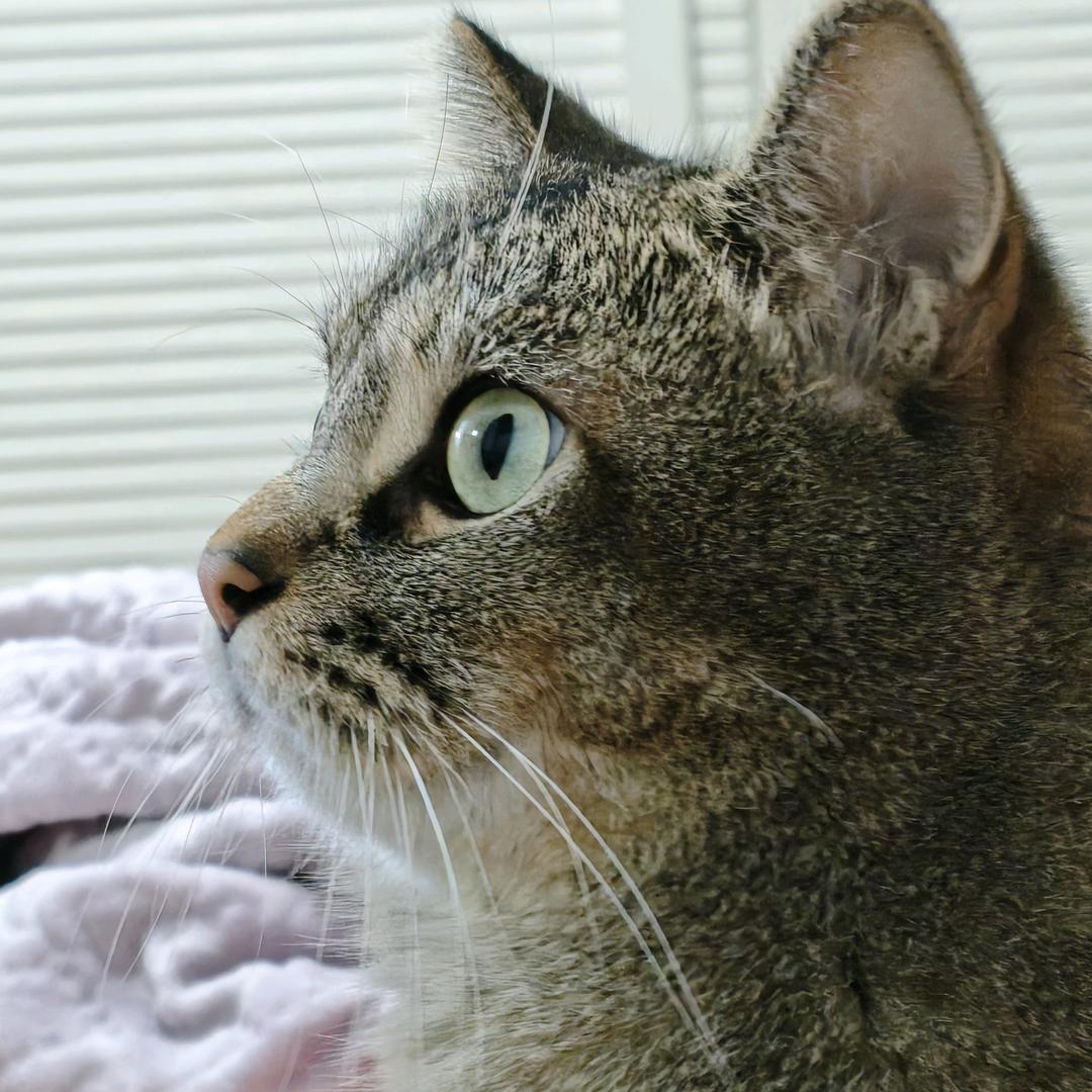 我要暴富有钱花