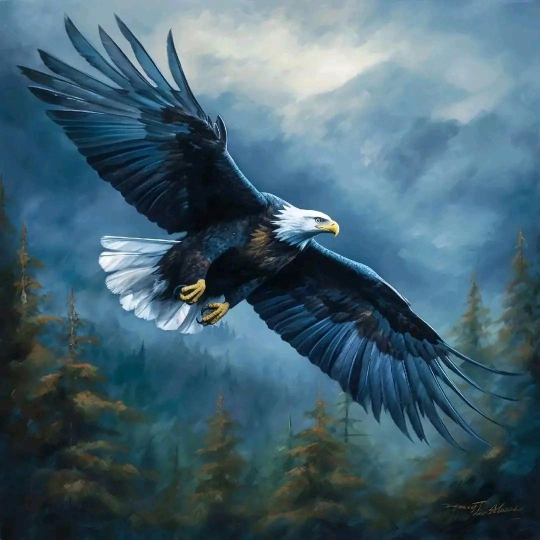 浮生爱花花草草