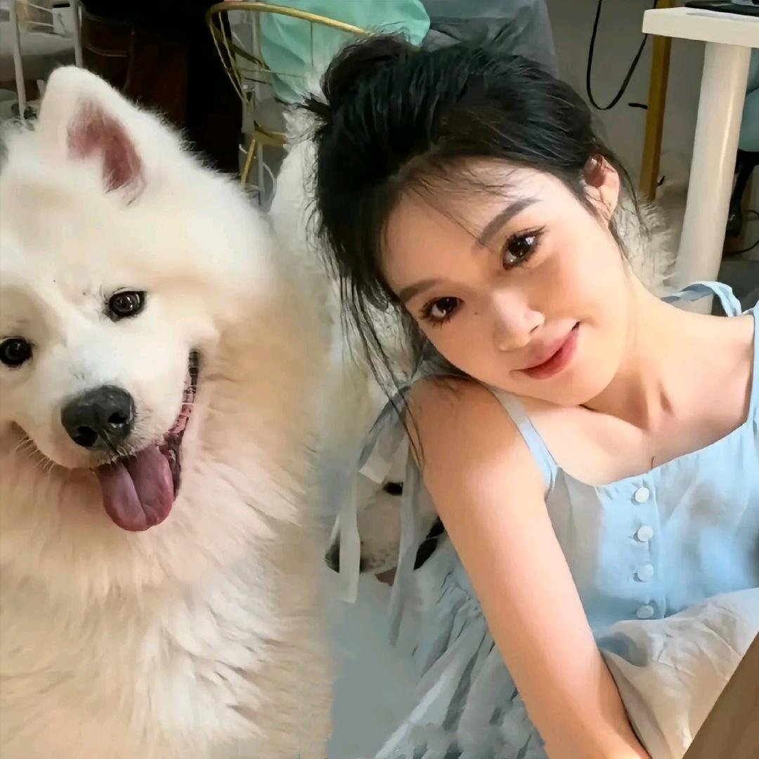 养只爱我的小狗