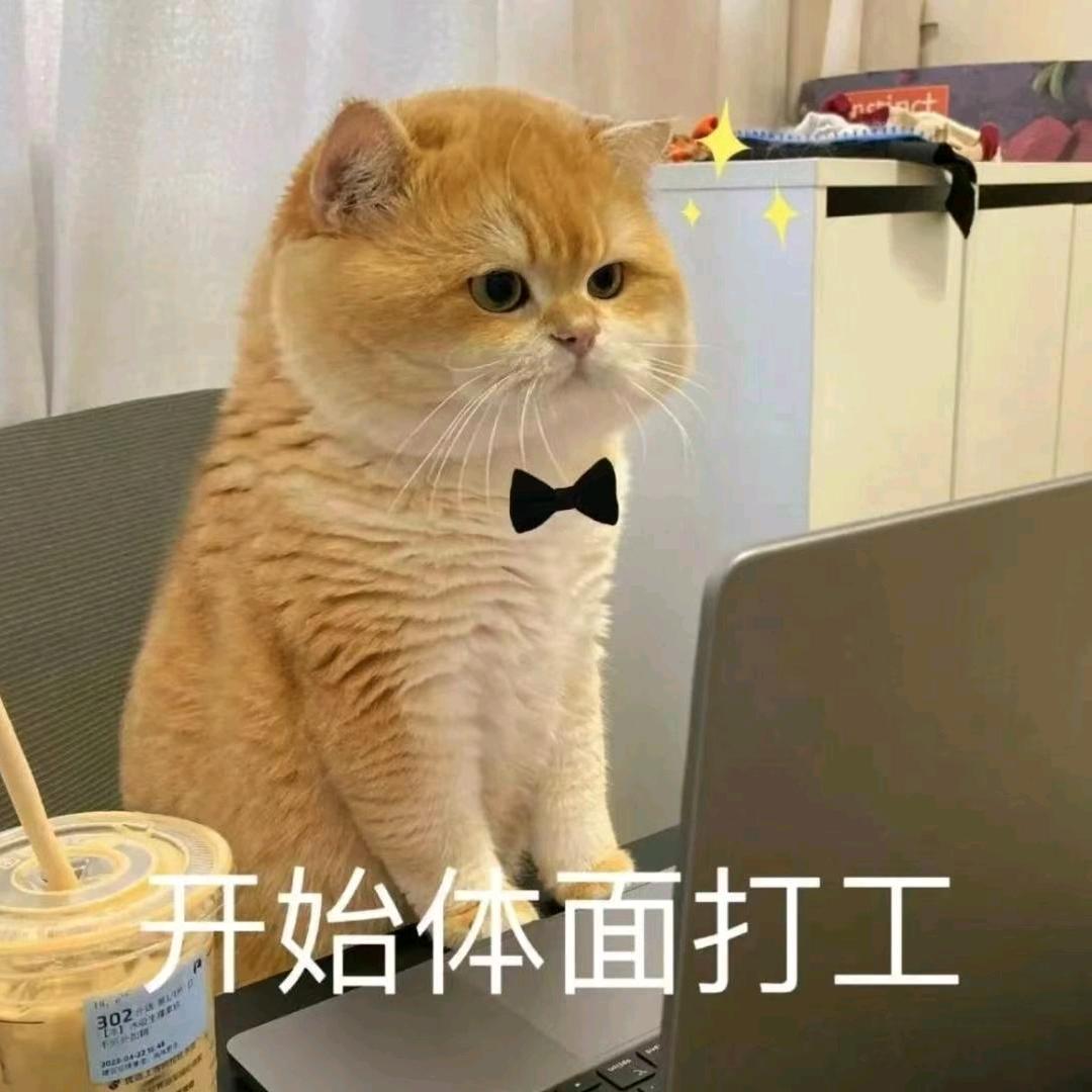 菲扬🍎