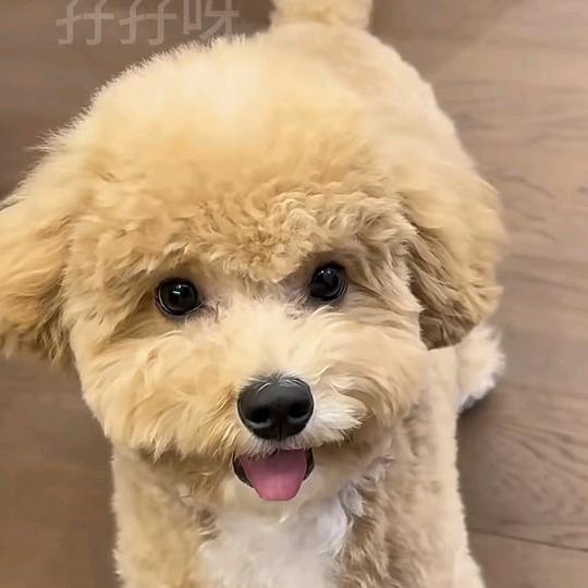 仕元