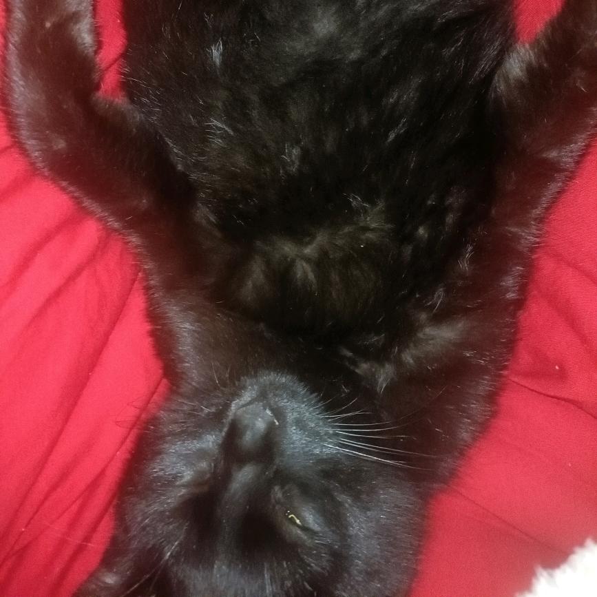 太阳神（穿孔）