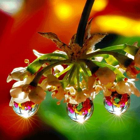 心在这里/进退由你