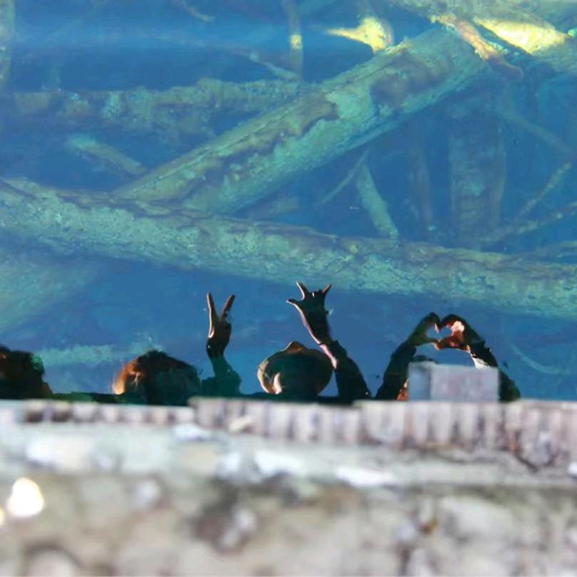 人生只若如初见