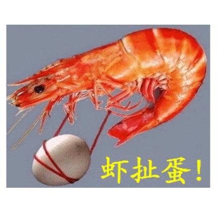 🦐扯🥚🥚