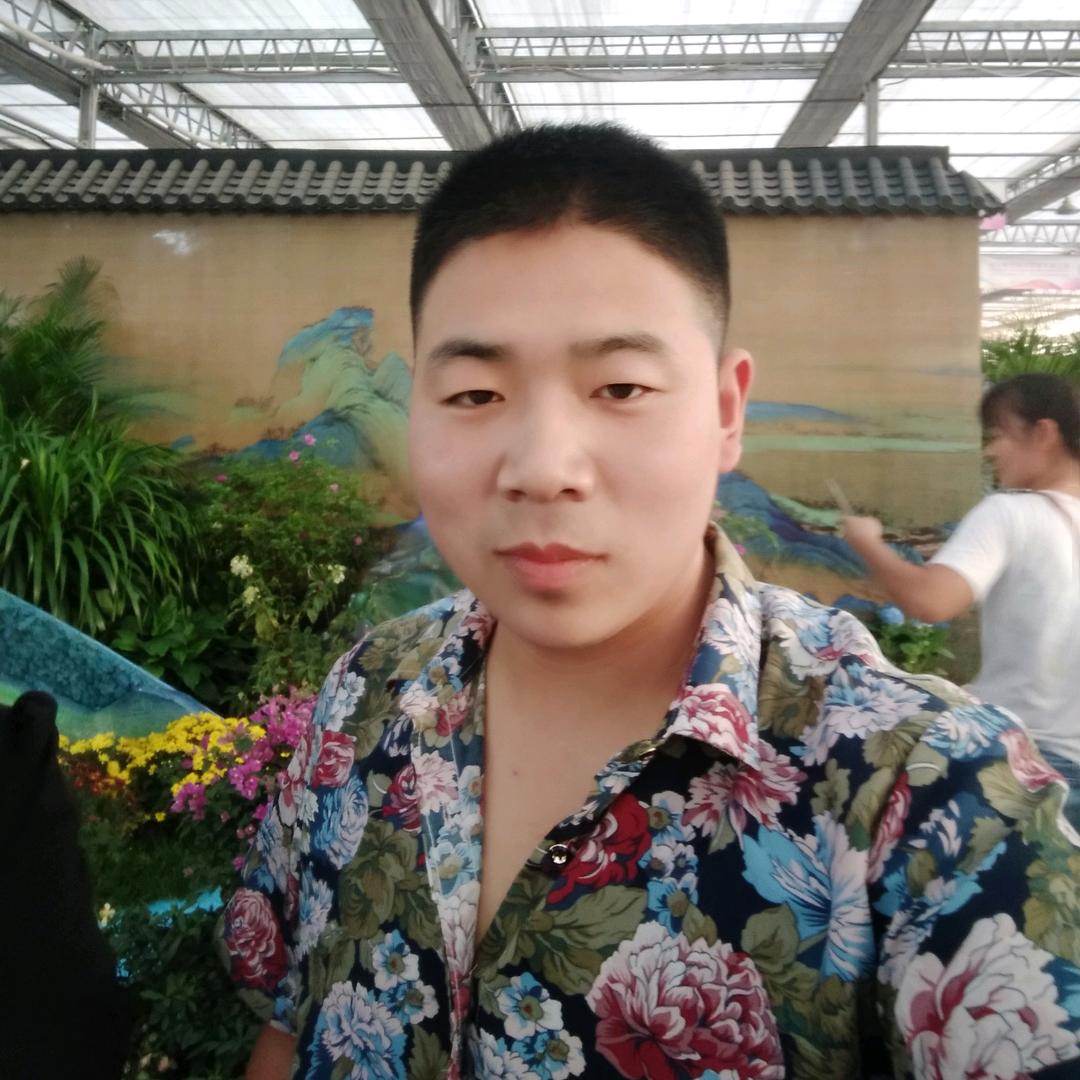 山东大蒜专业分析师