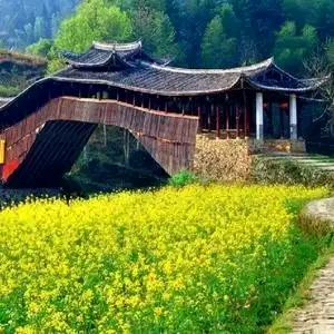 治愈良药