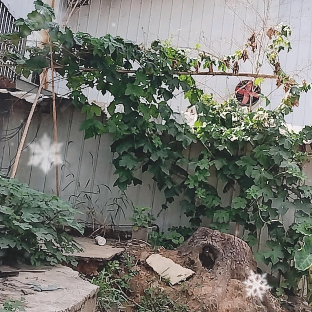 路要自己走。🌹🌹🌹