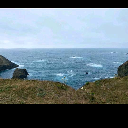 海哥