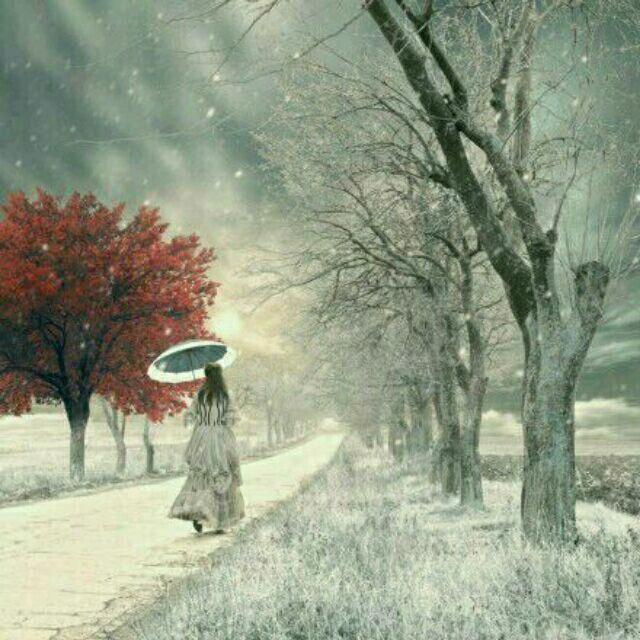 今夕是何年