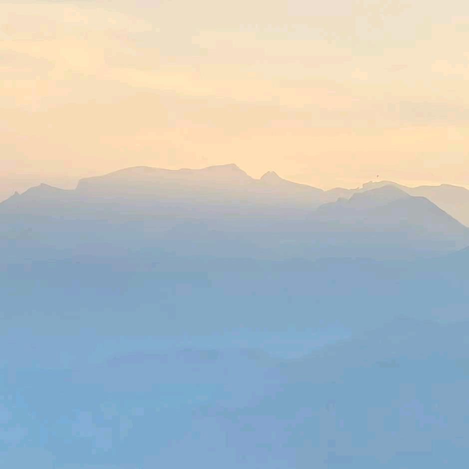 伍一