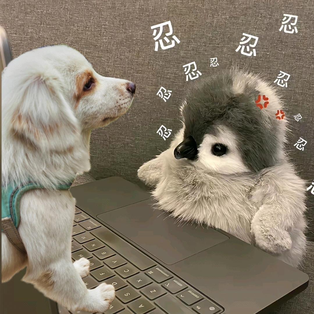 529ᵕ̈ ²⁰²⁵ Z❤️zou