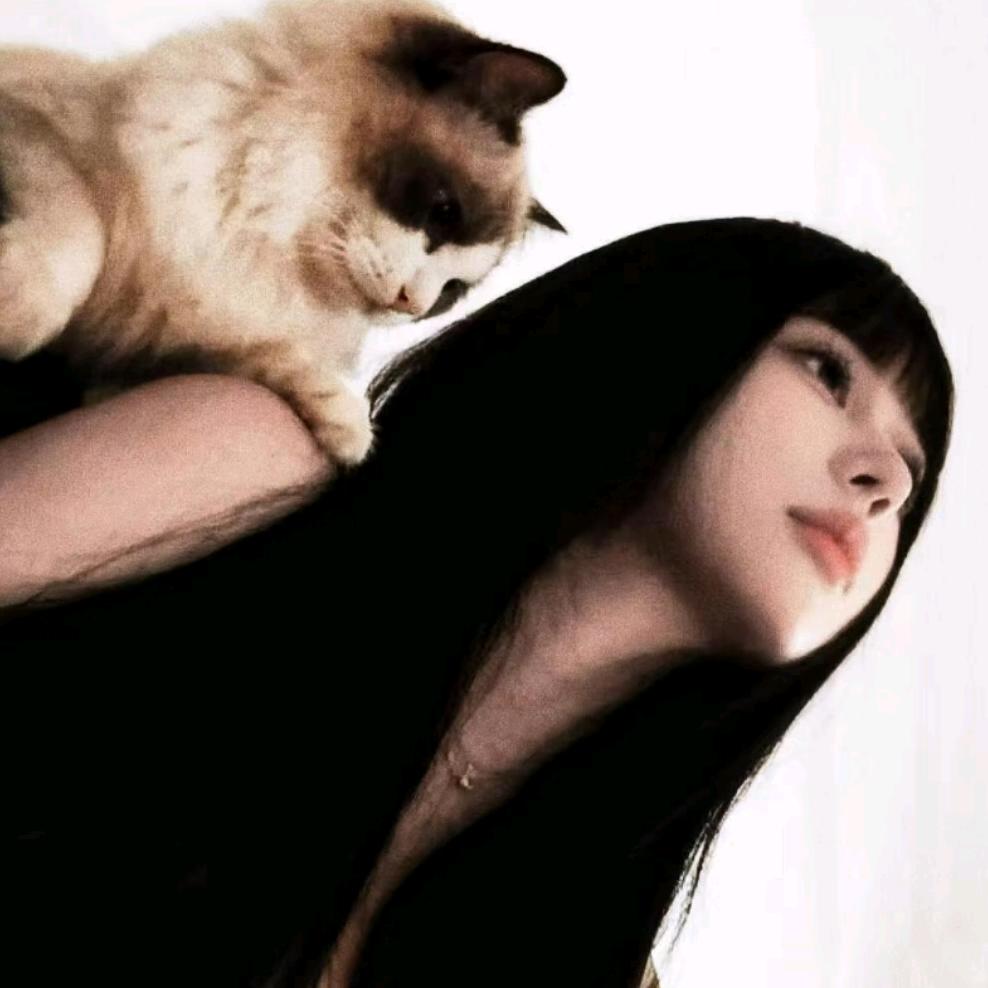 你看你又搞里头