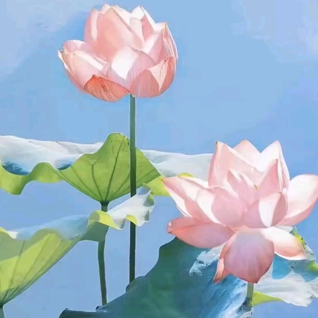 用户3559125237776