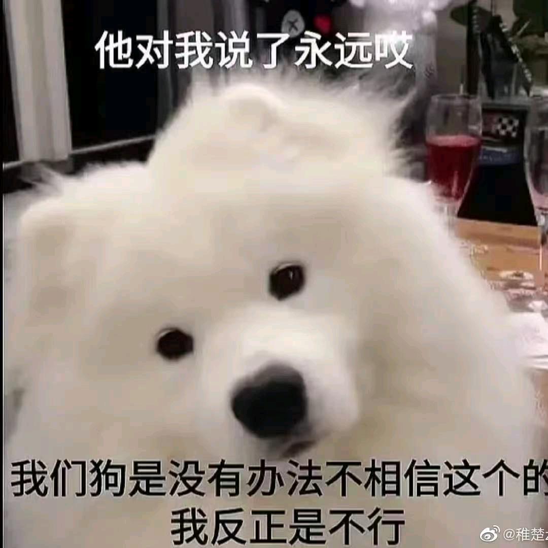 AB耶耶耶