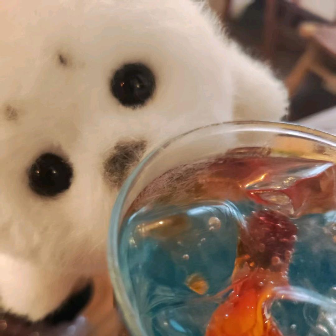 超级炫彩至高天神仙王地狱无敌黑暗主宰七月