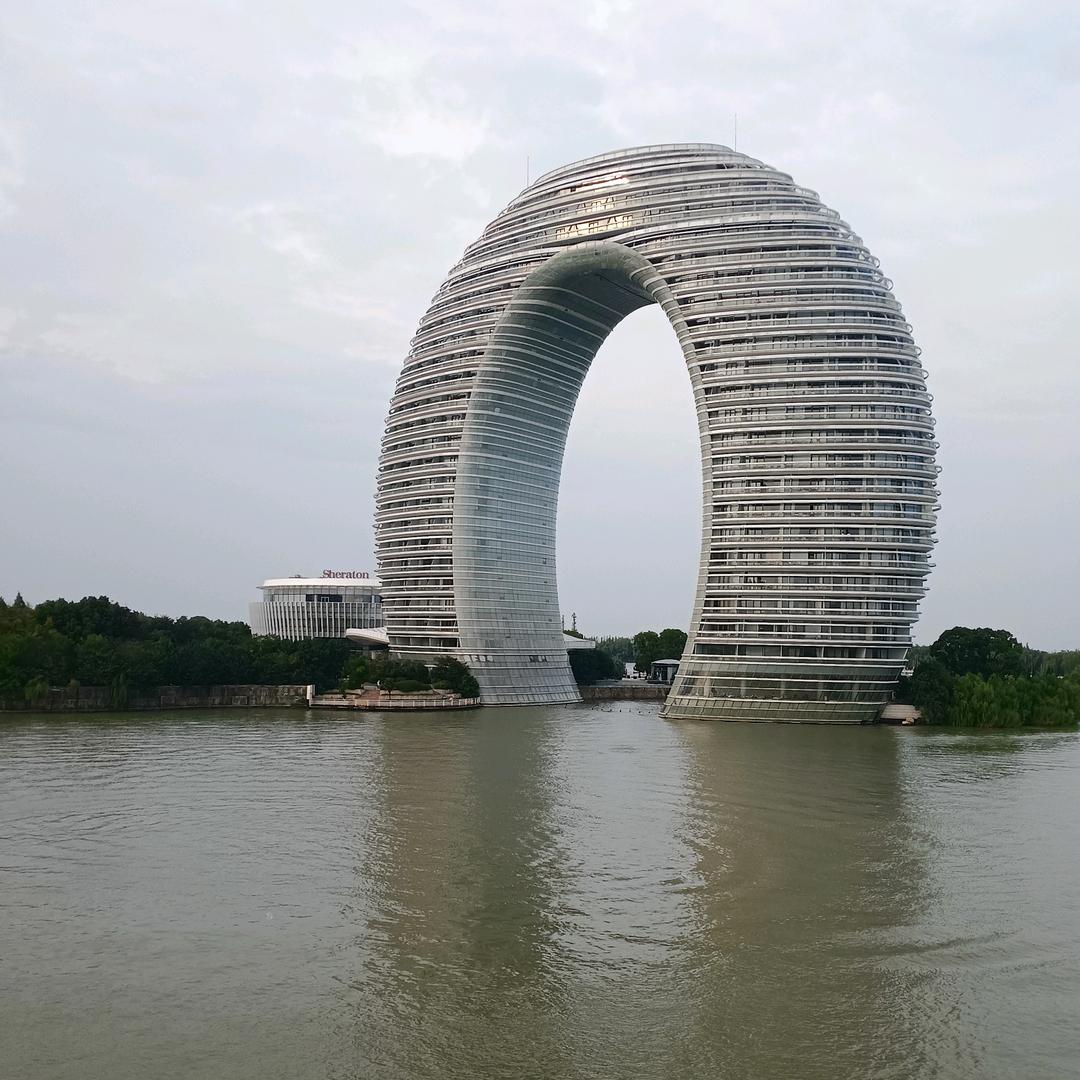 丢了幸福的猪🐖