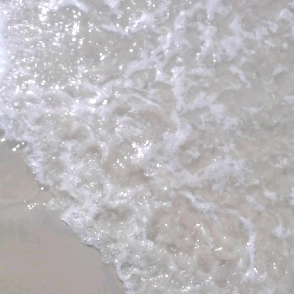 鲁鲁