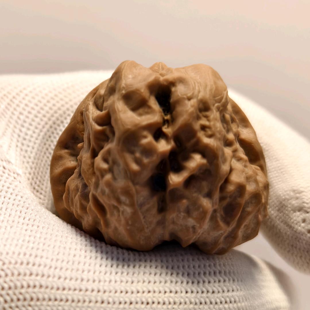 盘盘爱核