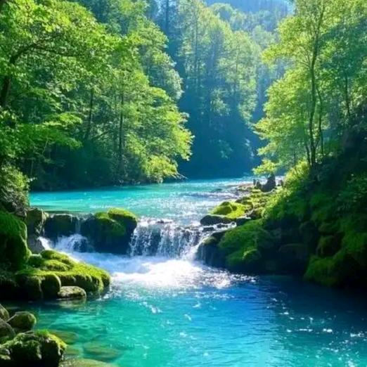 人到绝境是重生