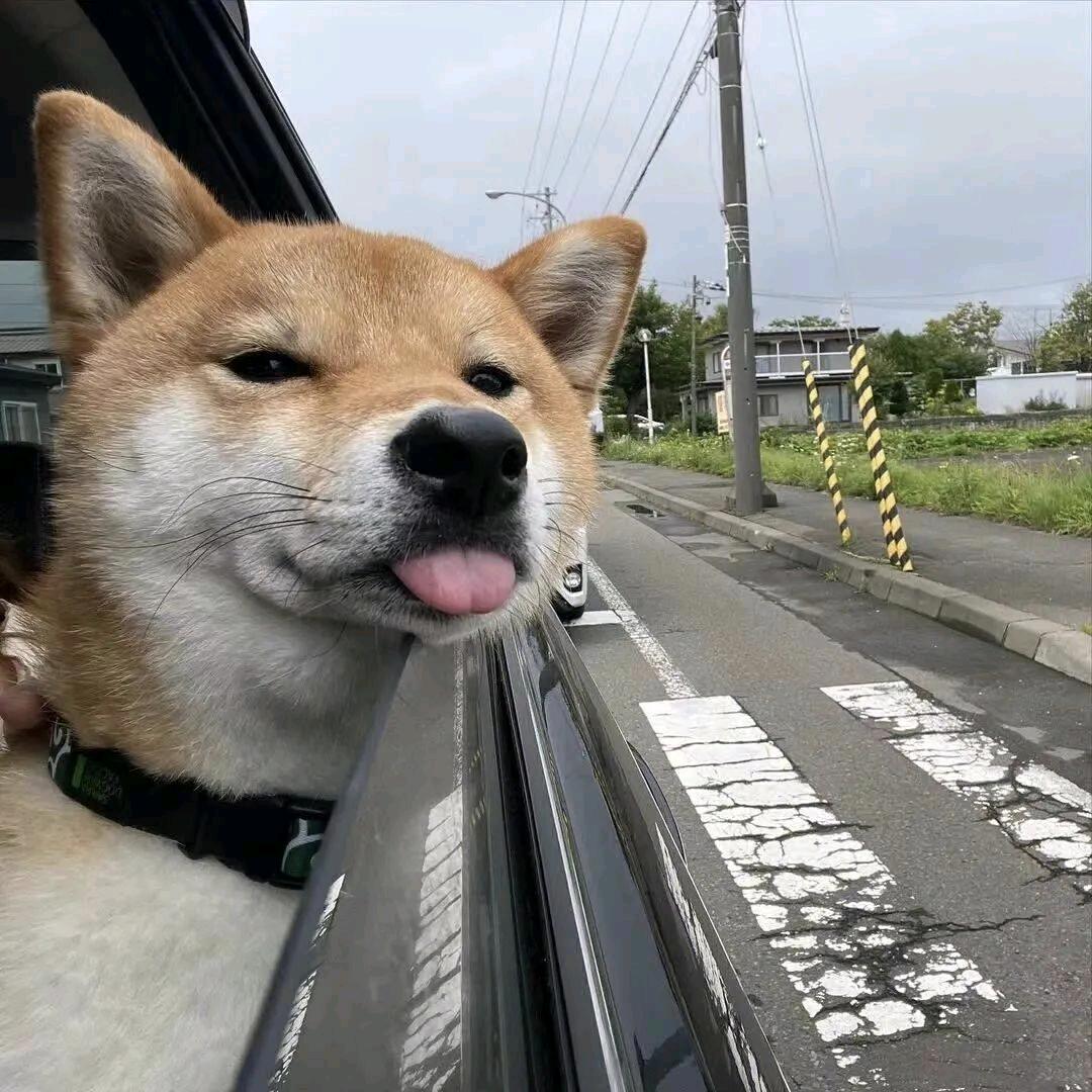 三千梨