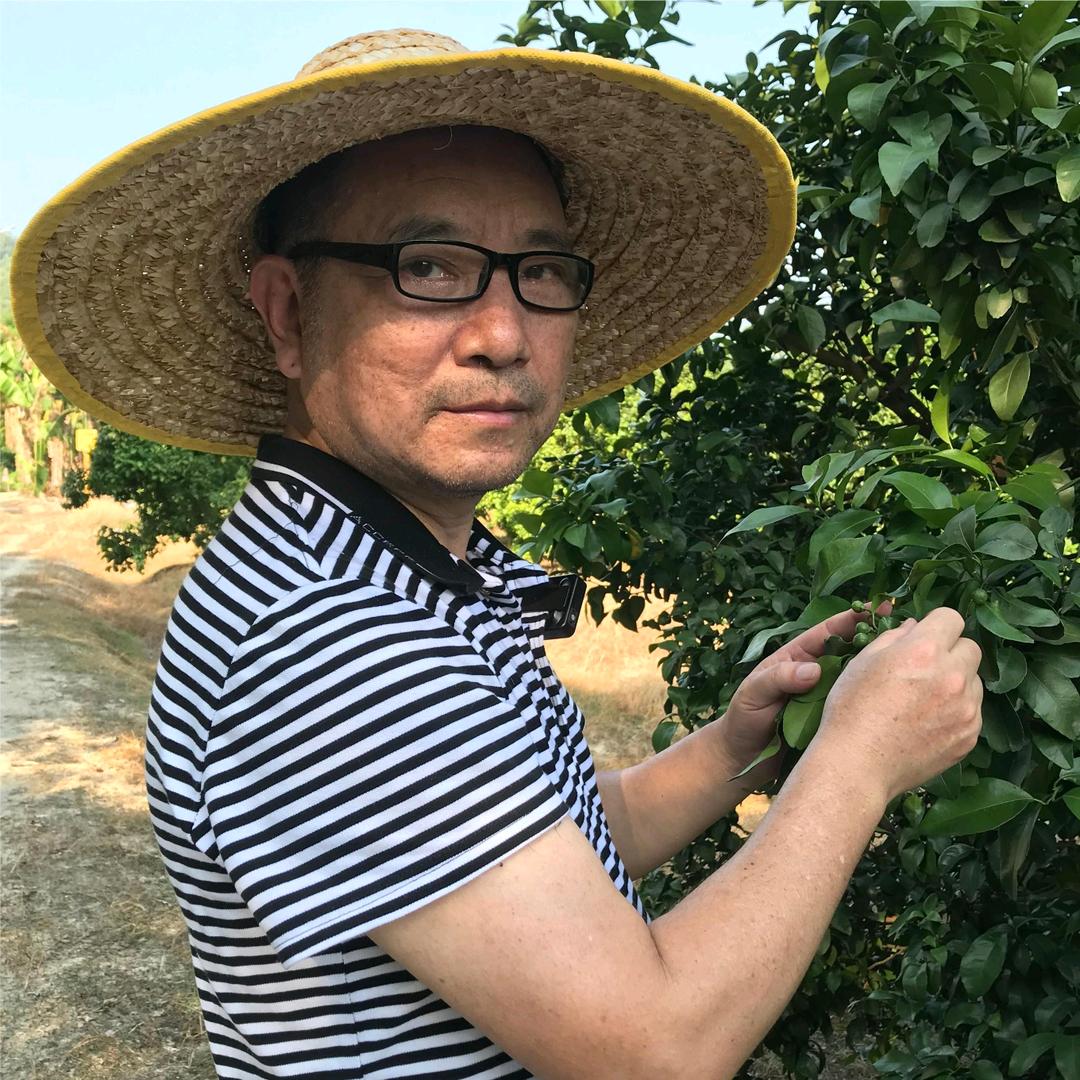 曾老师柑橘说