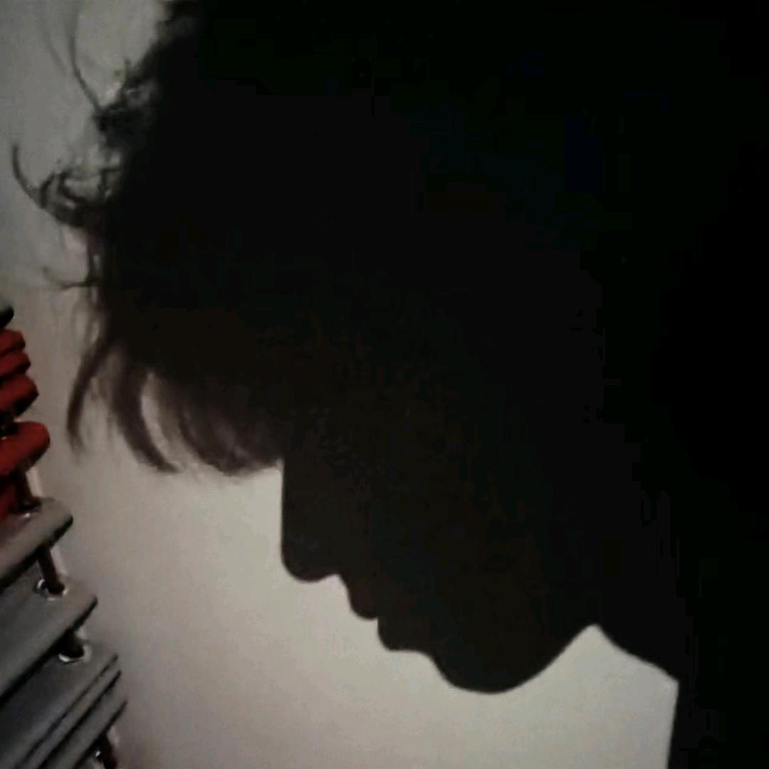 杨羊羊