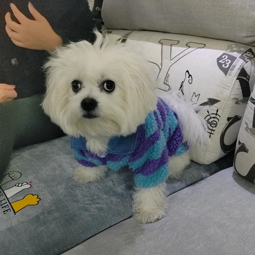 盛荣建材