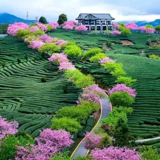 一生有了你。