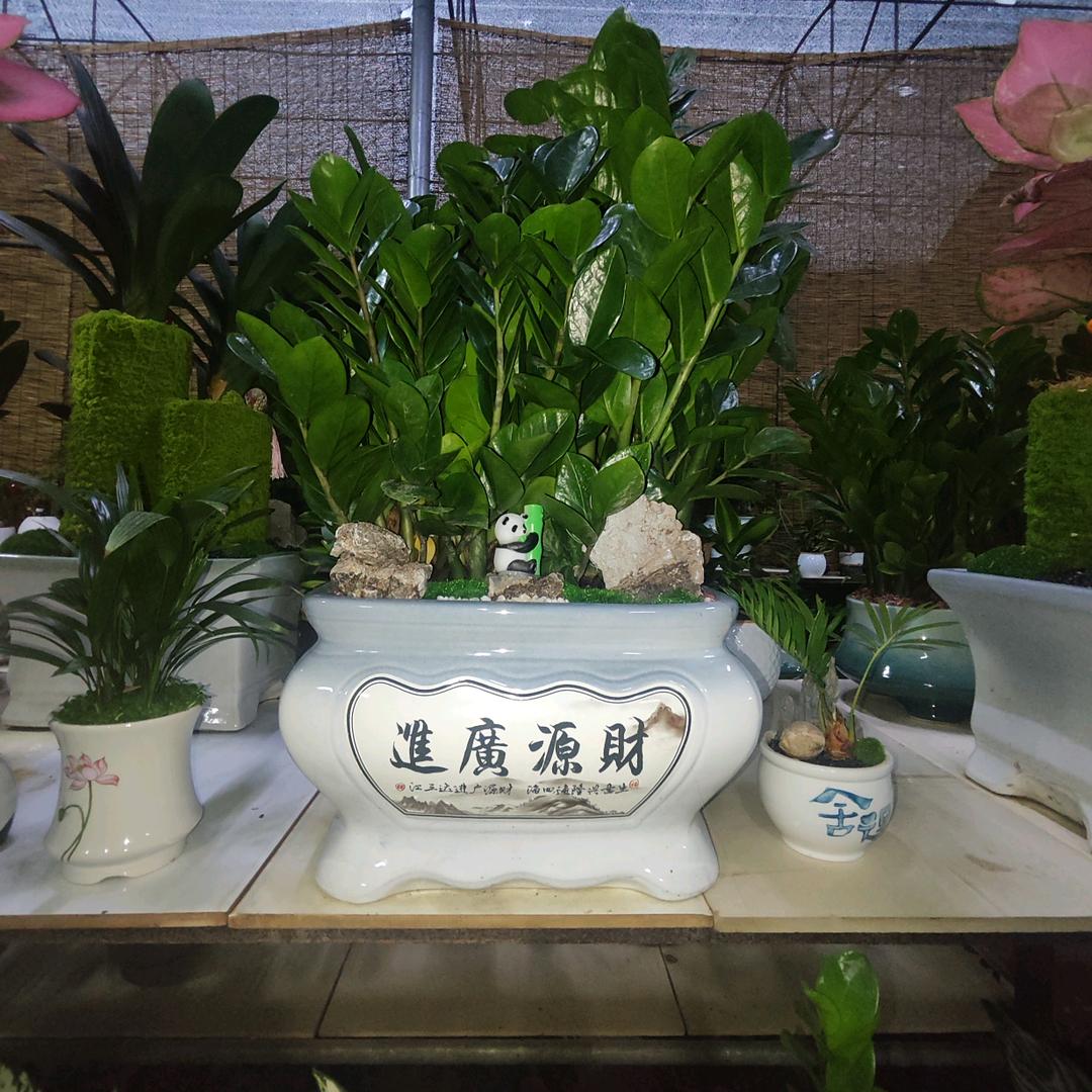 梦想