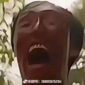 刘海柱（冲破200粉）