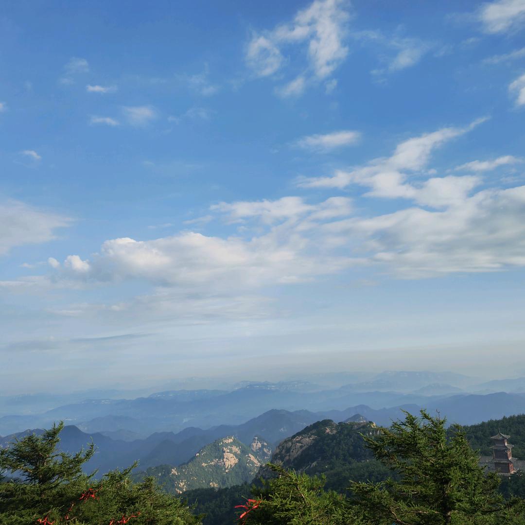 圆圆爱学习