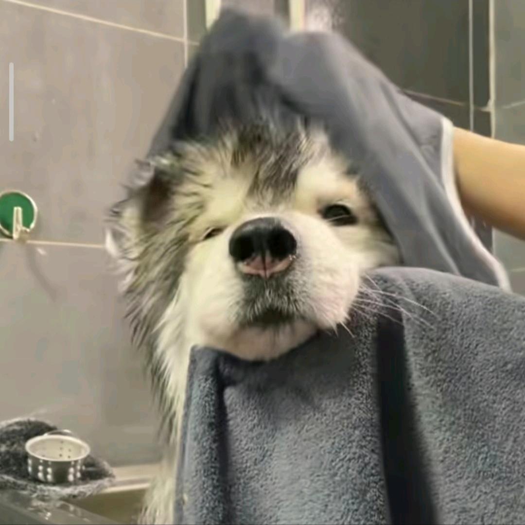补想上班💤