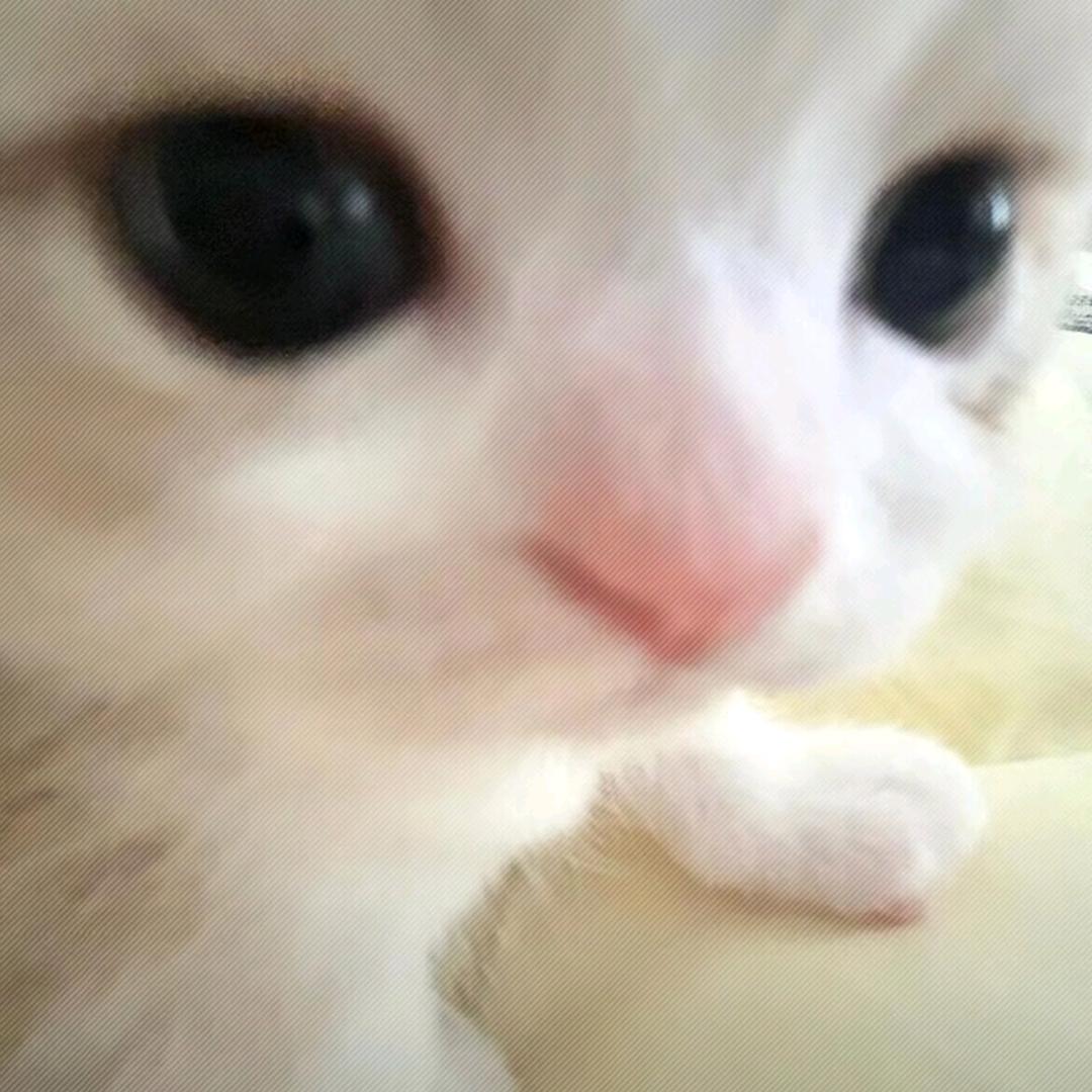 板腱浠